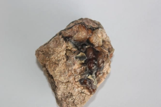  Botriodal Agat Görsel 1