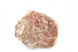  Agat yumurta Görsel 2