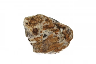  Bantlı Agat Görsel 2