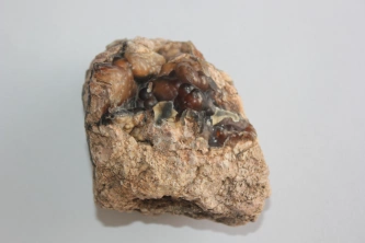  Botriodal Agat Görsel 2