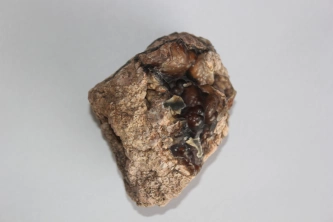  Botriodal Agat Görsel 3