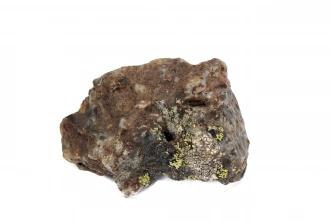  Güzel bantlı agat Görsel 2