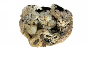  Botryoidal yumru kalsedon Görsel 2