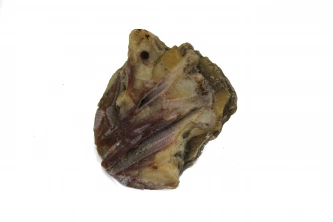  Çubuk agatı Görsel 4