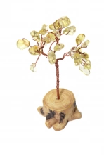  5 Parça Sitrin ve Pirit Zenginlik Seti Görsel 3