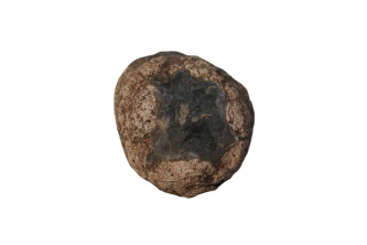  Agat yumurta Görsel 1