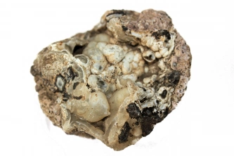  Botryoidal yumru kalsedon Görsel 1