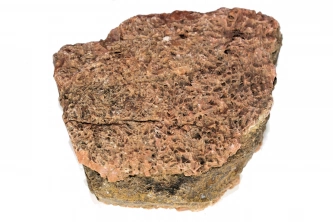  Sandviç Jasper Görsel 1