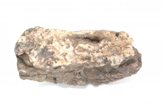  Çubuk agatı Görsel 2