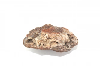  Agat yumurta Görsel 2