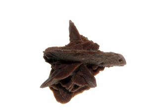 Çöl Gülü